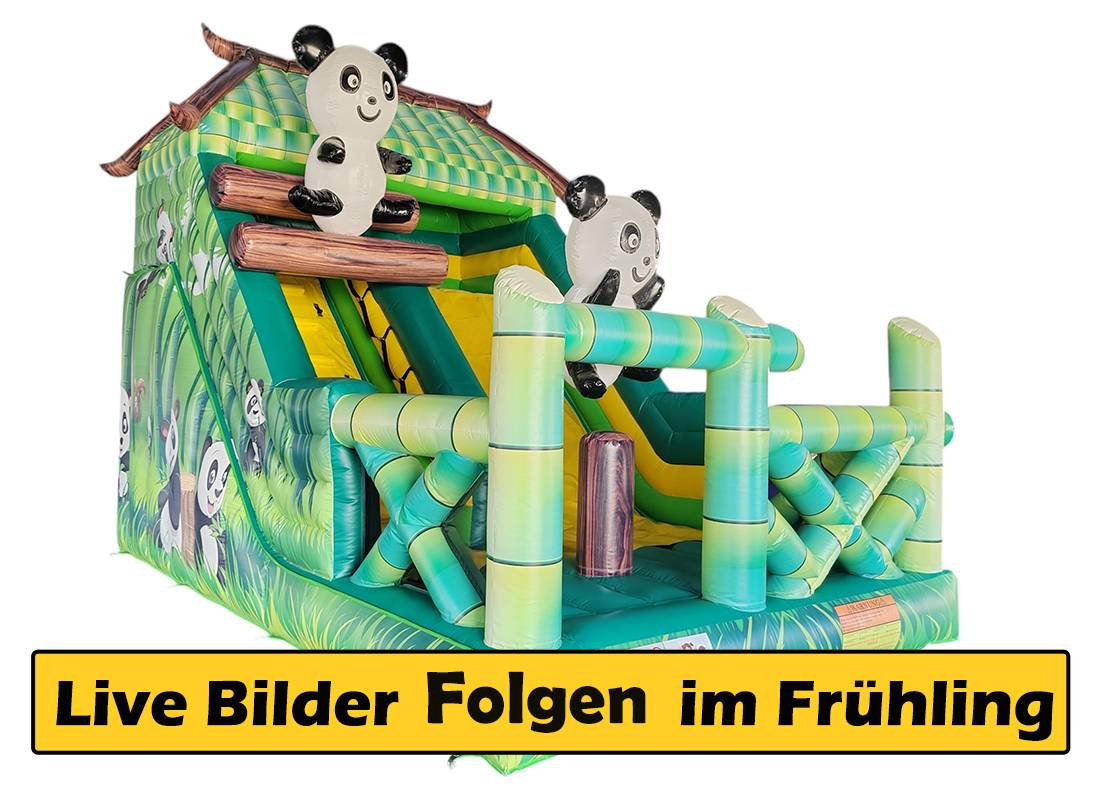 Hüpfburg Mieten Panda Emstek Rutsche 3D Hüpfburg