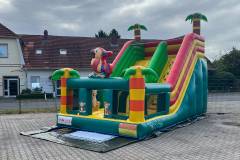Seite Tiere Löwe Papagai Hüpfburg ge-event Rutsche Cloppenburg